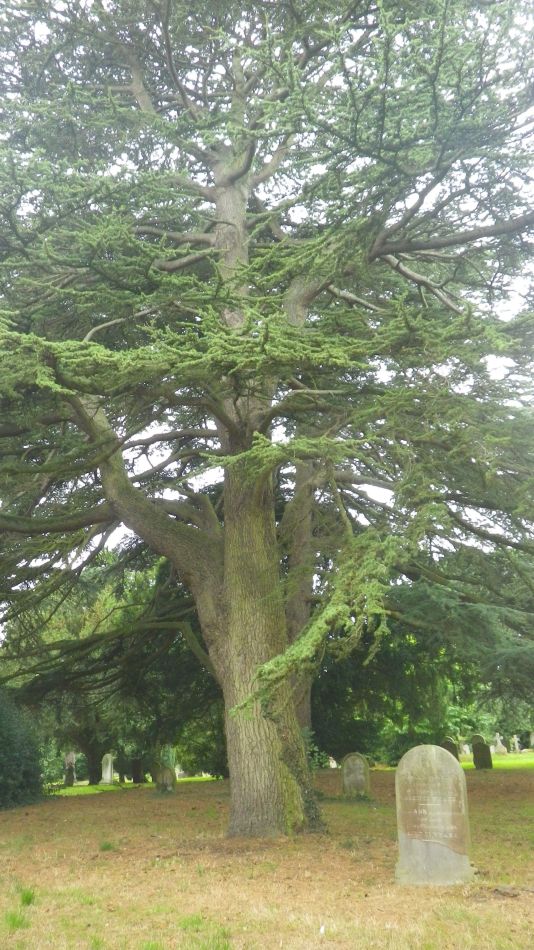 2018-08-19 01 Beccles and Redisham.jpg