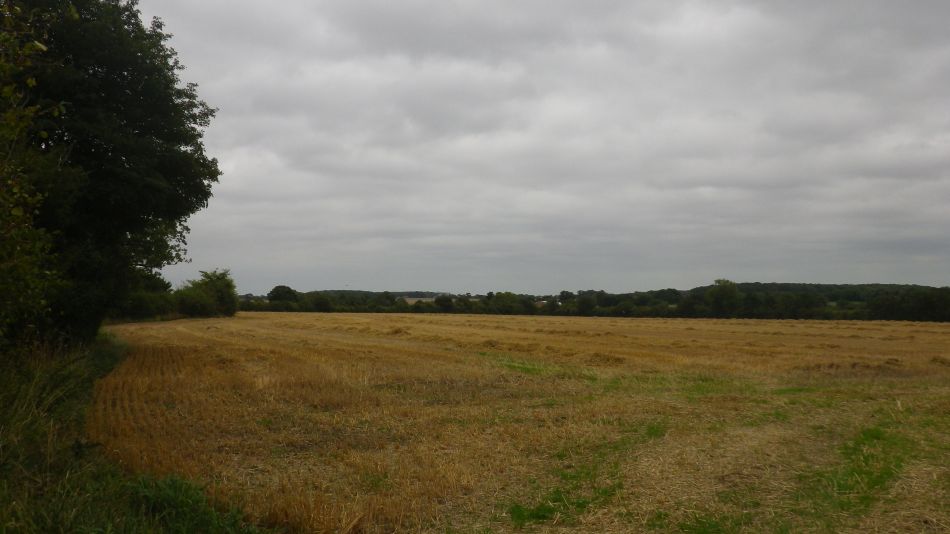 2018-08-19 03 Beccles and Redisham.jpg