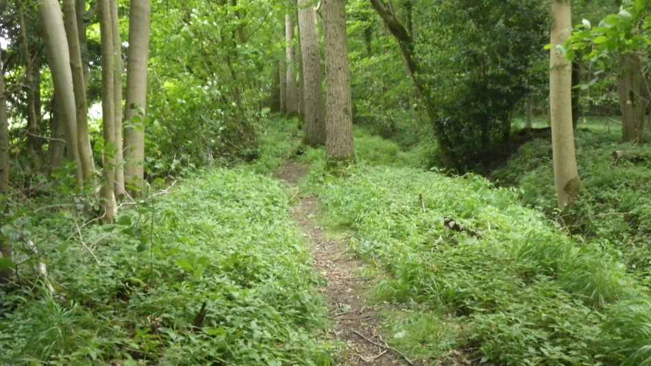 2017-06-07 03 Stoven Area 5.5.jpg