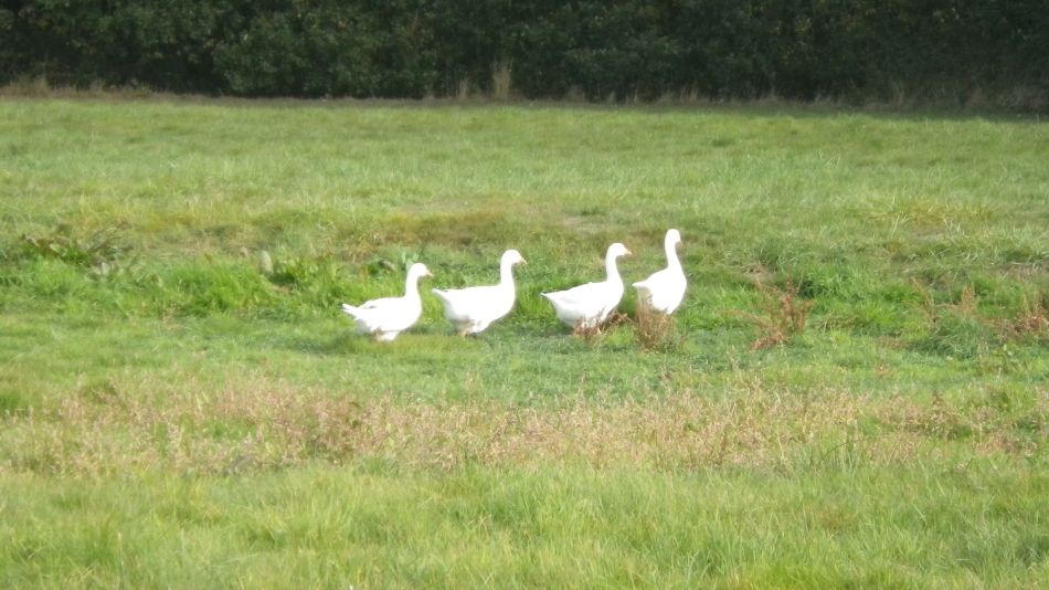 2018-10-03 02 Stoven.jpg