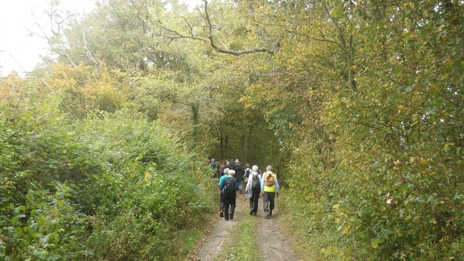 2018-10-03 03 Stoven.jpg