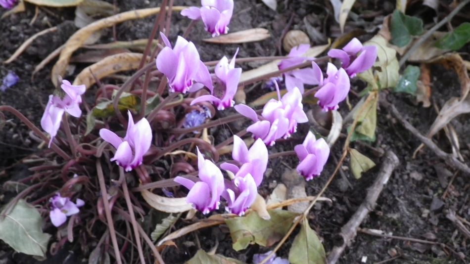 2018-10-03 07 Stoven.jpg