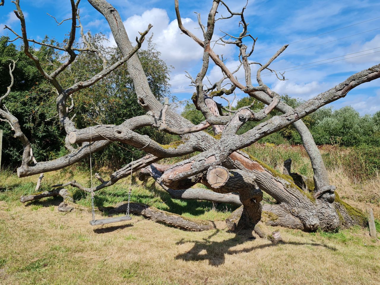 2024-08-27 15 Stoven Westhall Brampton.jpg