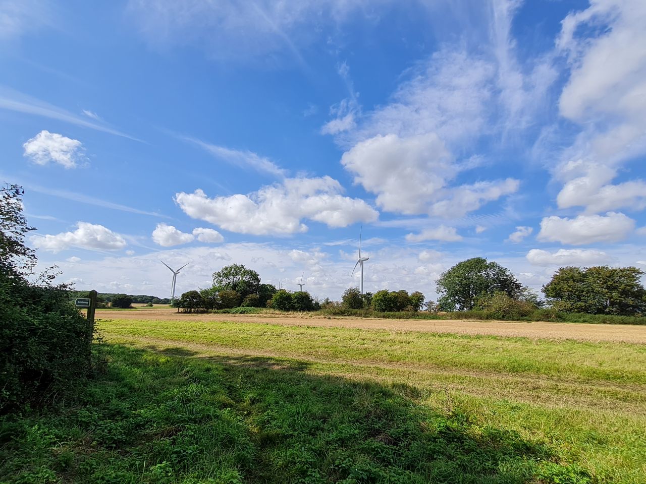 2024-08-27 16 Stoven Westhall Brampton.jpg