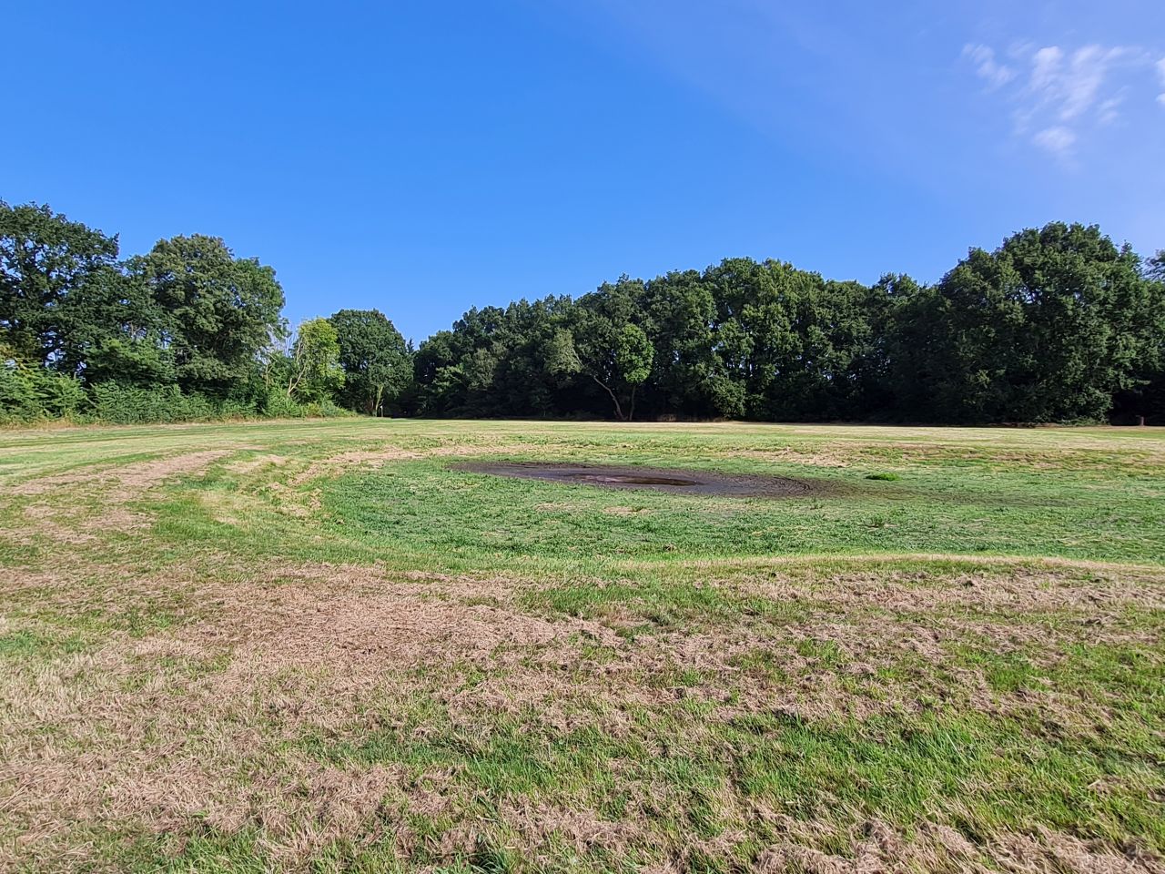 2024-08-30 02 Stoven Green.jpg