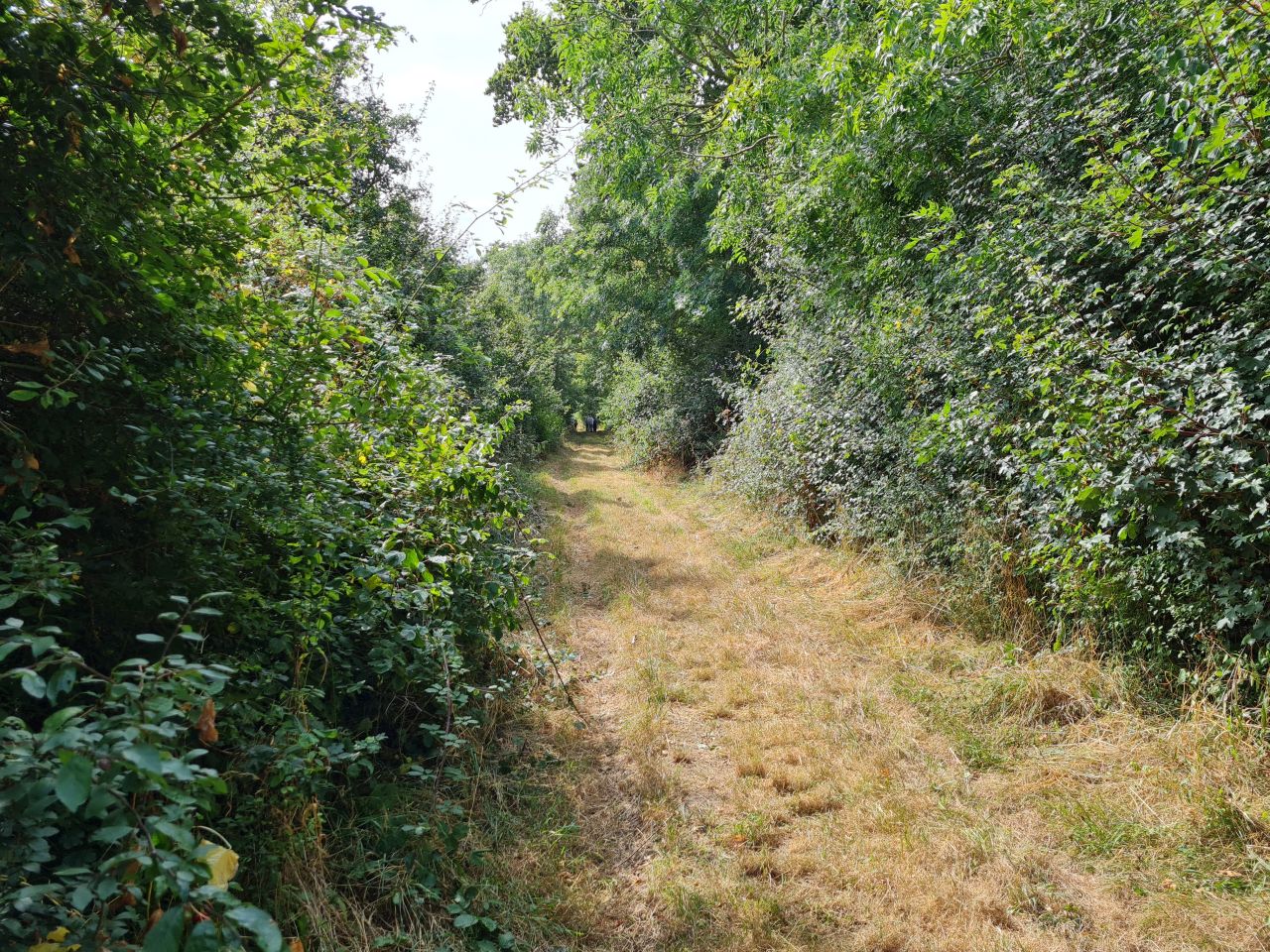 2024-08-30 03 Stoven Green.jpg