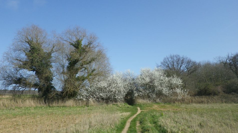 2019-03-31 08 Westleton and Dunwich.JPG