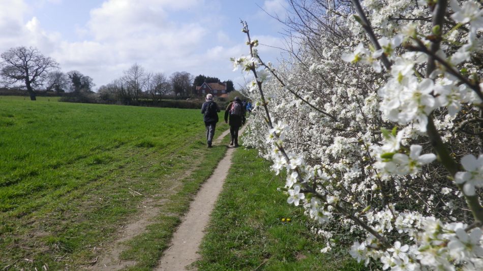 2019-03-31 09 Westleton and Dunwich.JPG