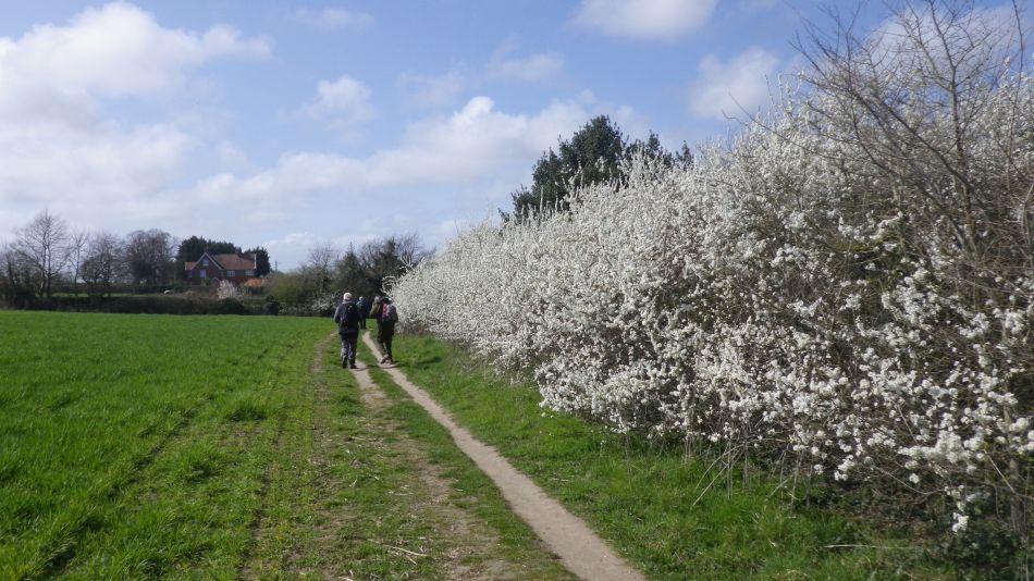 2019-03-31 10 Westleton and Dunwich.JPG