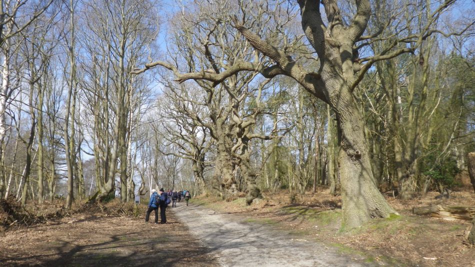 2019-03-31 13 Westleton and Dunwich.JPG