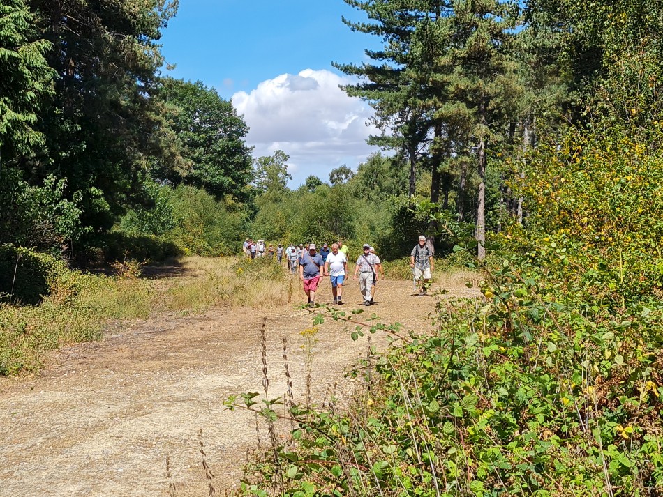 2022-07-27 11 Westleton.jpg