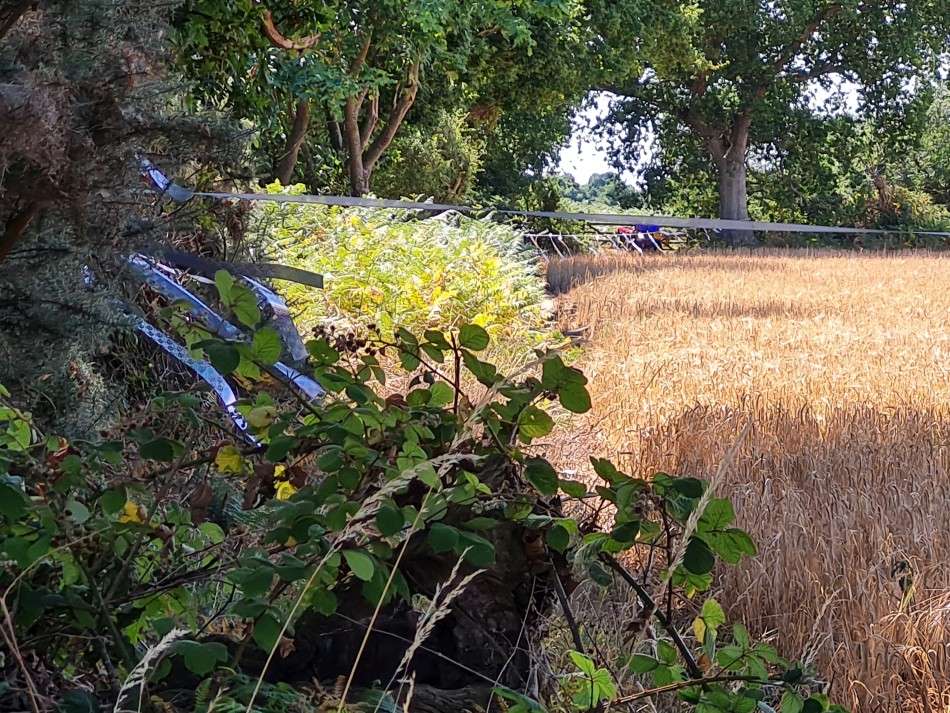 2022-07-27 13 Westleton.jpg