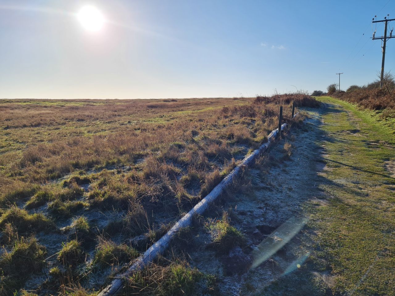 2025-01-03 03 Westleton.jpg