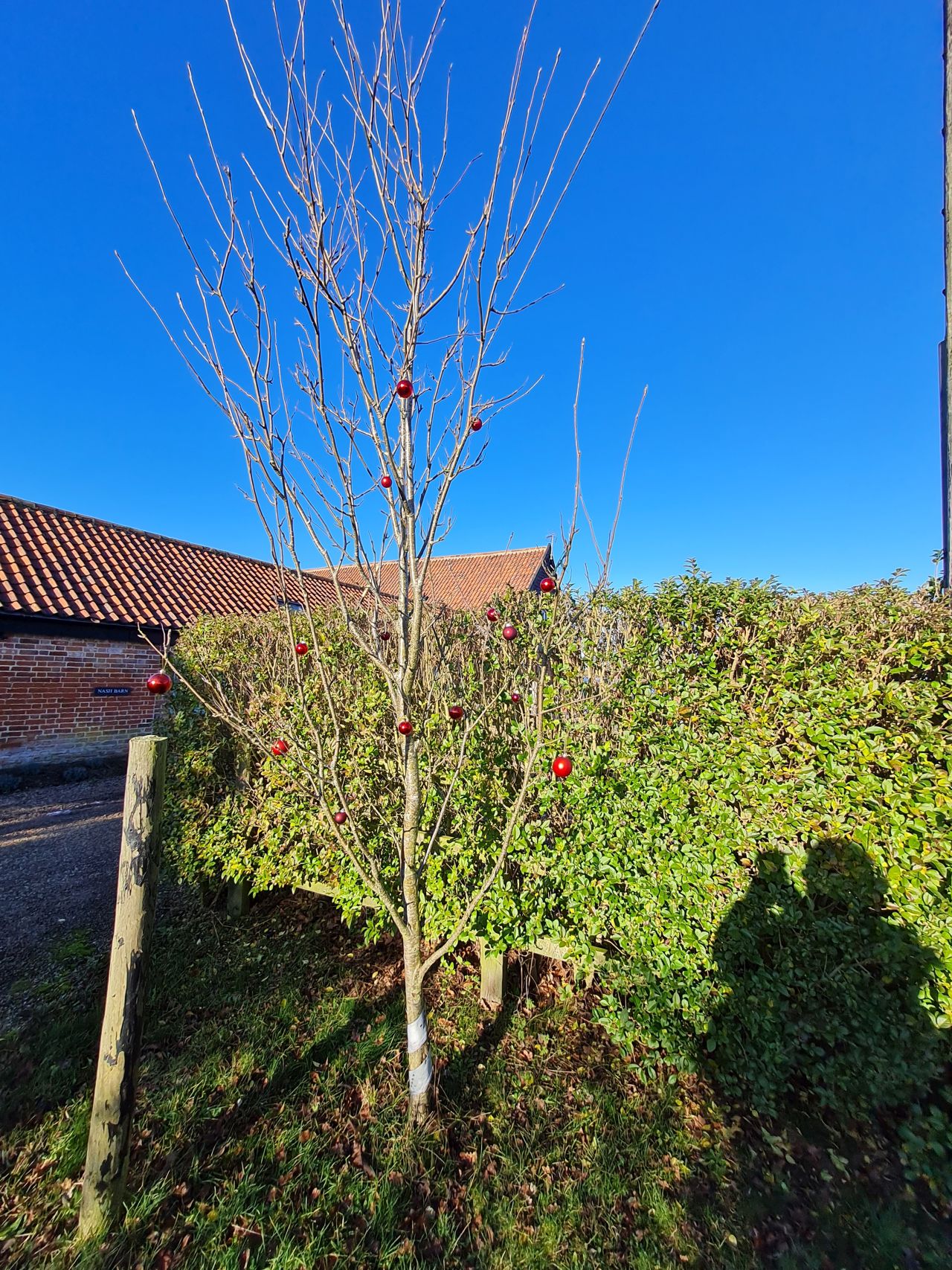 2025-01-03 07 Westleton.jpg