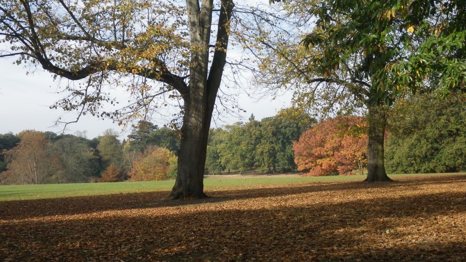 2016-11-03 17 Ipswich Woodbridge.jpg