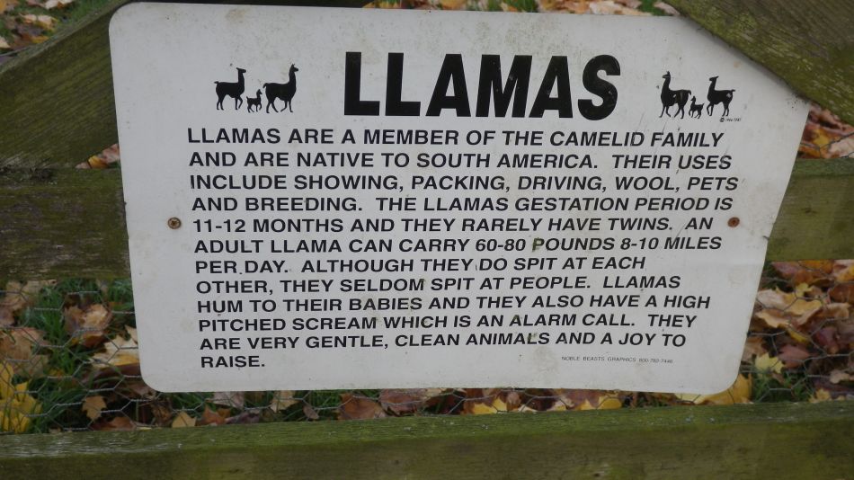 2016-11-03 23 Ipswich Woodbridge.jpg