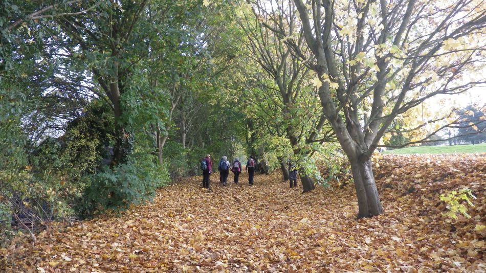 2016-11-03 25 Ipswich Woodbridge.jpg