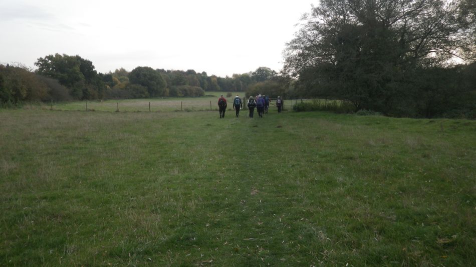 2016-11-03 29 Ipswich Woodbridge.jpg