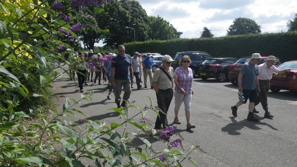 2017-07-05 02 Wortwell Area.jpg