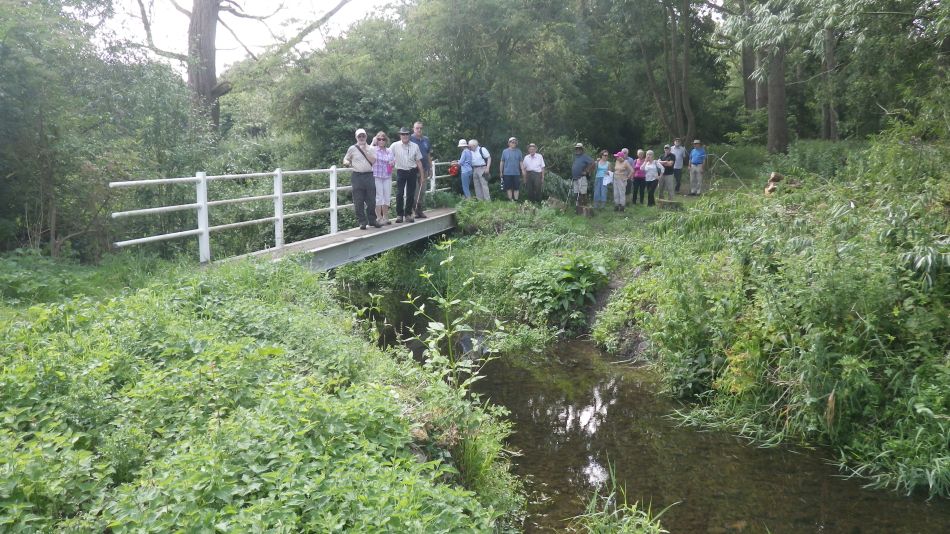 2017-07-05 03 Wortwell Area.jpg