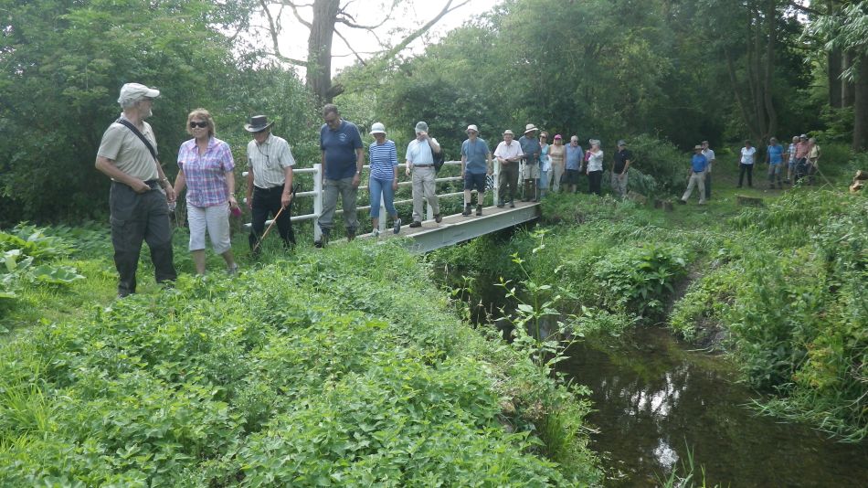 2017-07-05 04 Wortwell Area.jpg