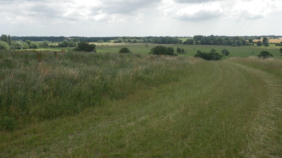 2017-07-05 12 Wortwell Area.jpg