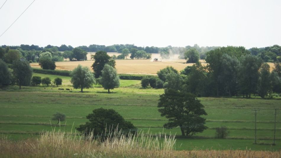 2017-07-05 13 Wortwell Area.jpg