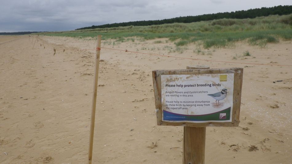 2017-07-16 10 Wells to Burnham Deepdale.jpg