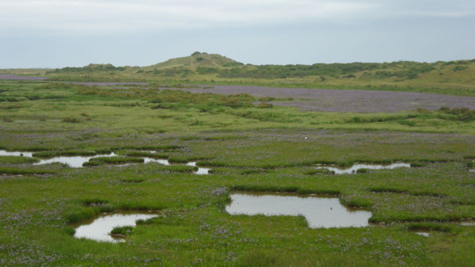 2017-07-16 13 Wells to Burnham Deepdale.jpg