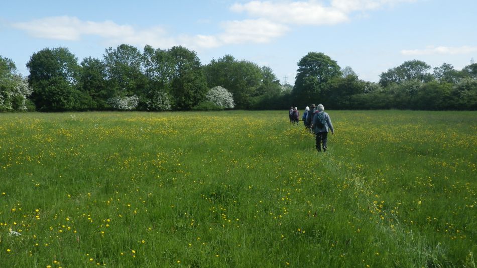 2018-05-17 05 Forncett St Peter.jpg