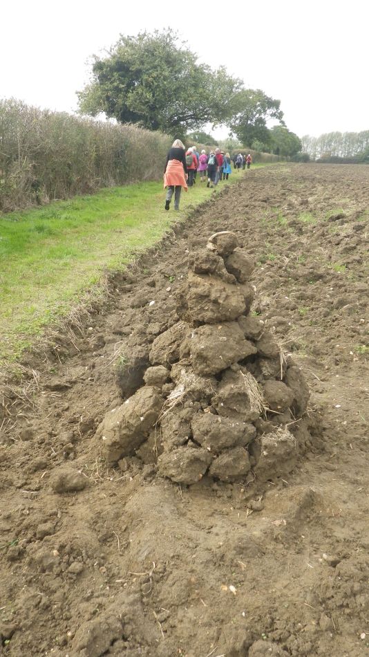 2017-09-20 12 Mud cairn.jpg