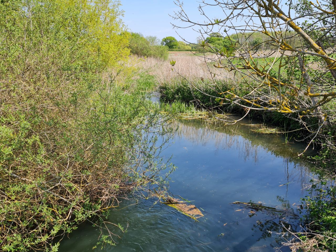 2025-05-02 20 Wickham Market to Saxmundham.jpg