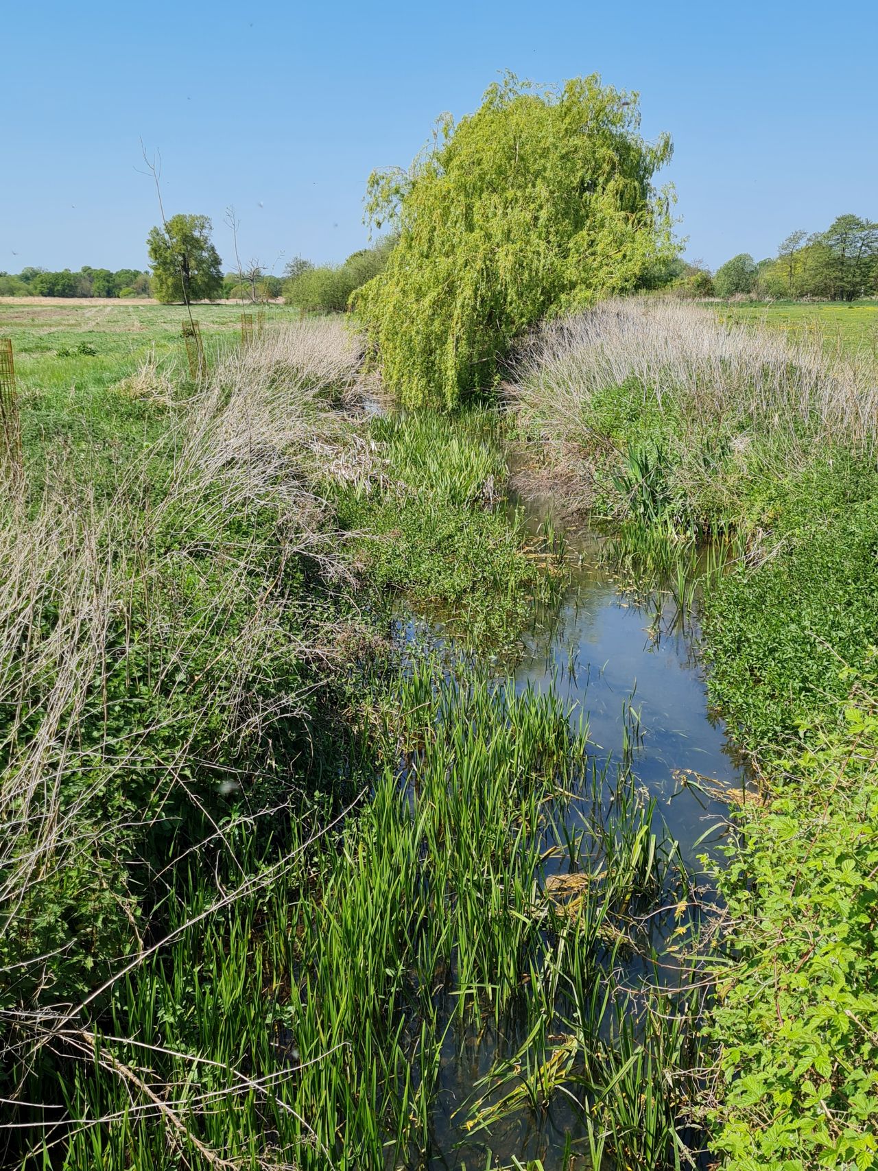 2025-05-02 21 Wickham Market to Saxmundham.jpg