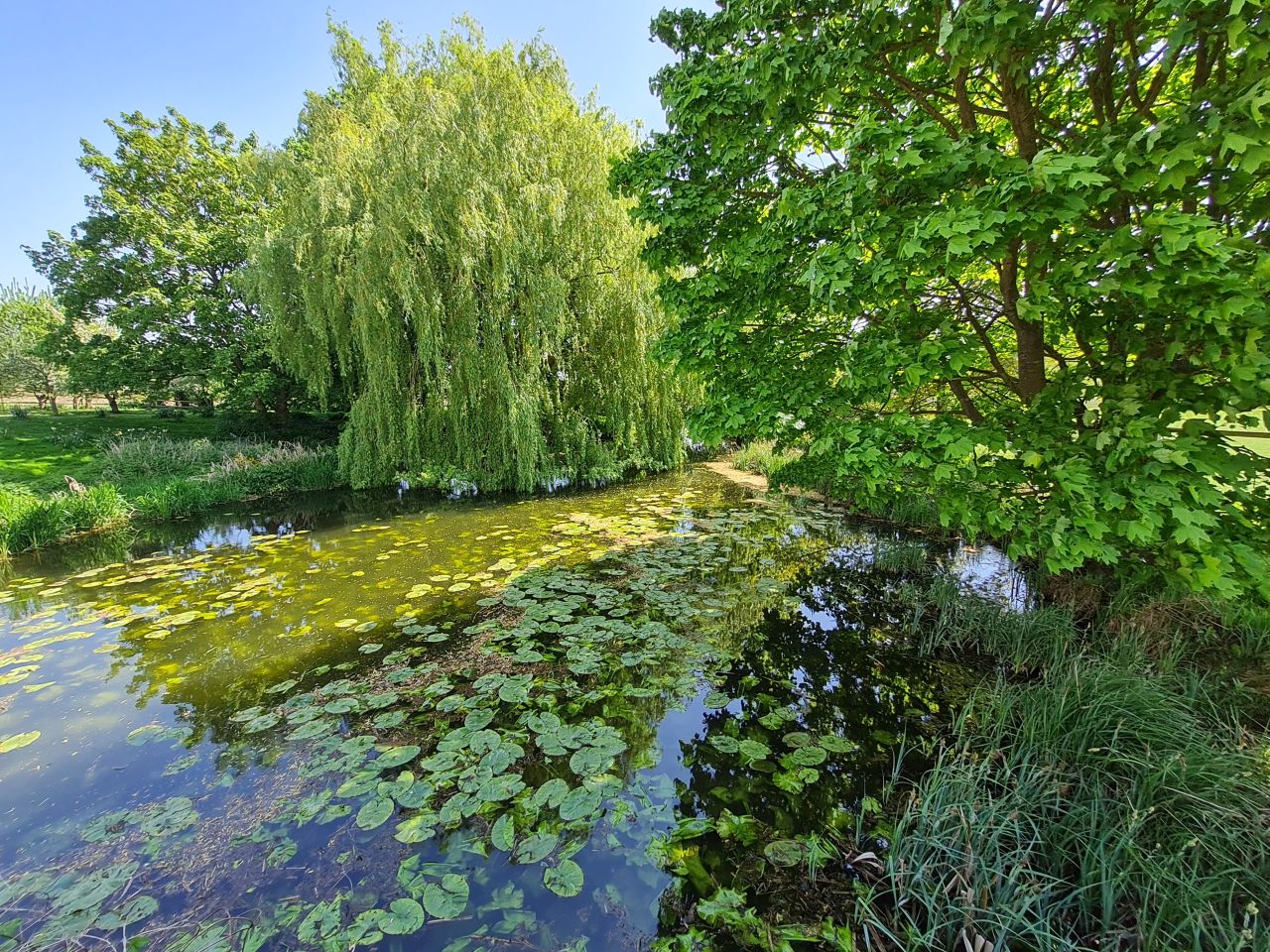 2025-05-02 23 Wickham Market to Saxmundham.jpg
