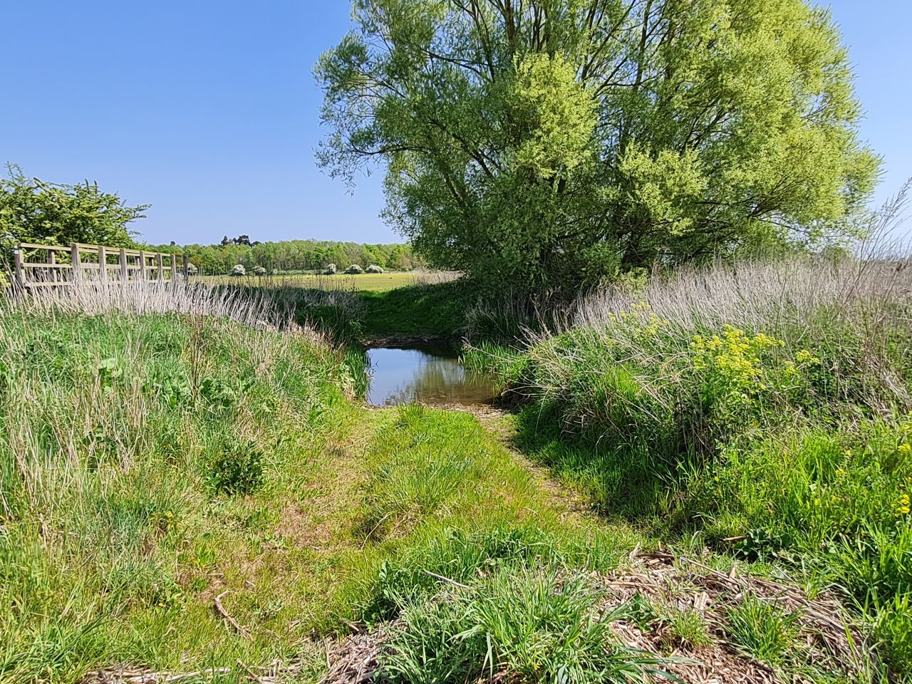 2025-05-02 26 Wickham Market to Saxmundham.jpg