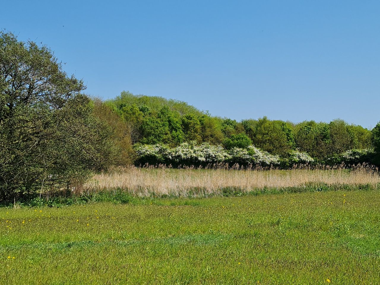 2025-05-02 29 Wickham Market to Saxmundham.jpg