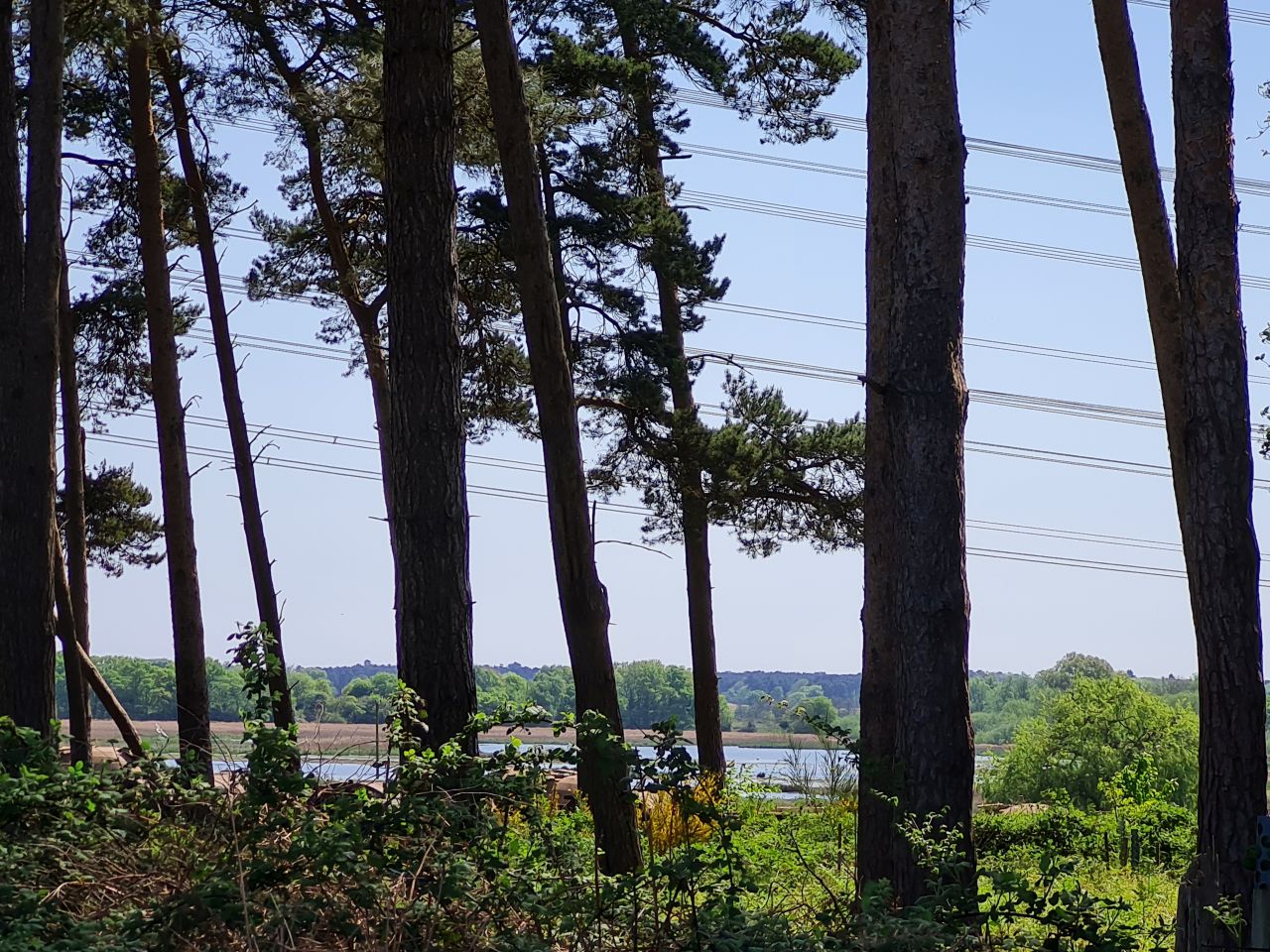 2025-05-02 30 Wickham Market to Saxmundham.jpg