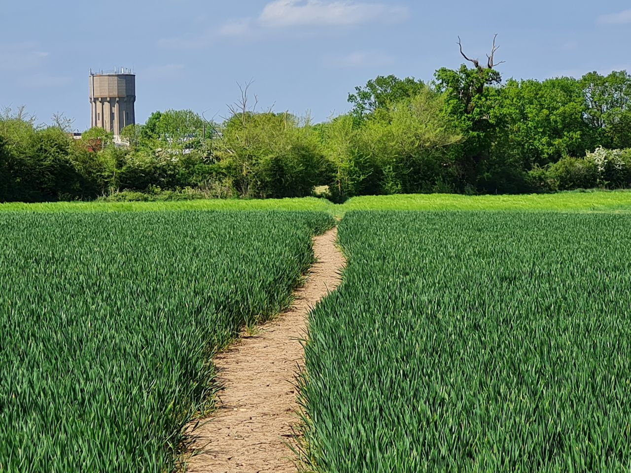 2025-05-02 34 Wickham Market to Saxmundham.jpg