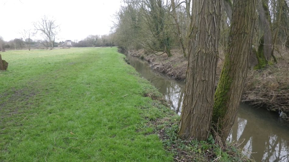 2018-02-03 10 Suffolk Area AGM.jpg