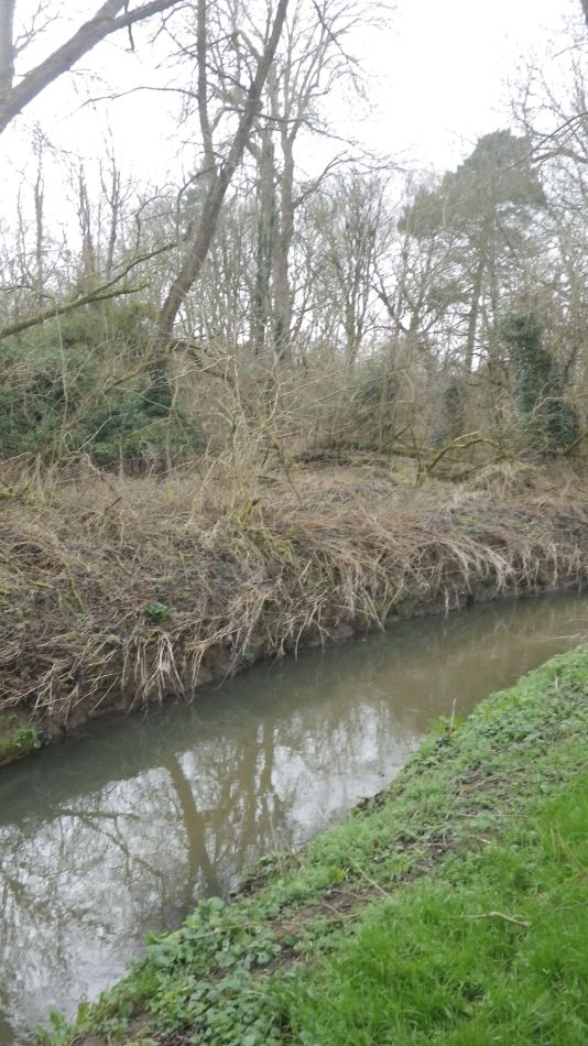 2018-02-03 11 Suffolk Area AGM.jpg