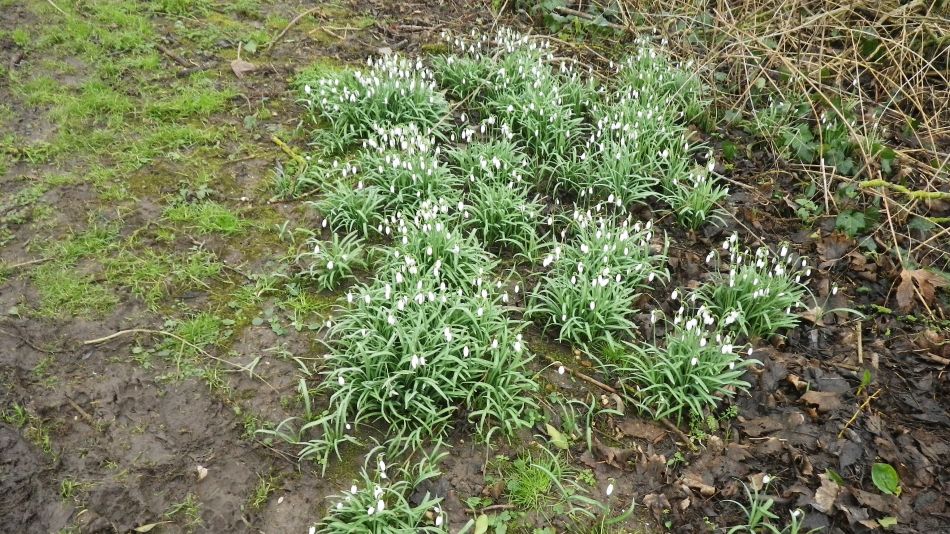 2018-02-03 14 Suffolk Area AGM.jpg