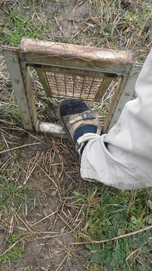 2018-02-03 17 2018-02-03 16 Badger Flap.jpg