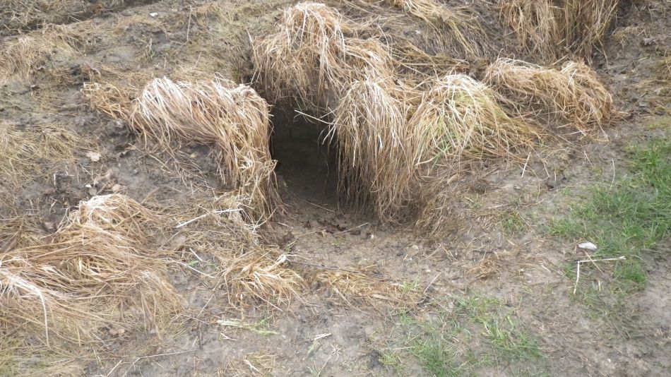 2018-02-03 18 Badger Set Entrance.jpg