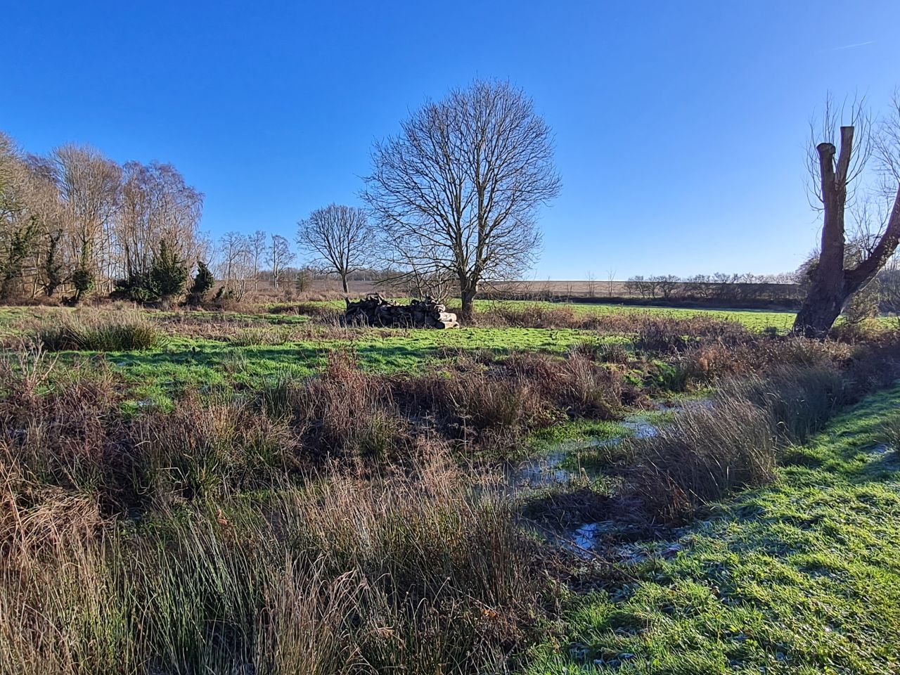 2025-01-10 22 Middleton Bell.jpg