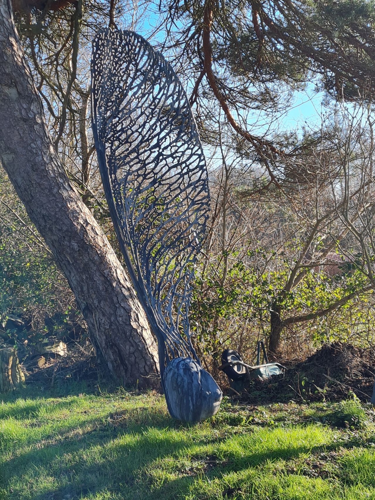 2025-01-10 27 Middleton Bell.jpg