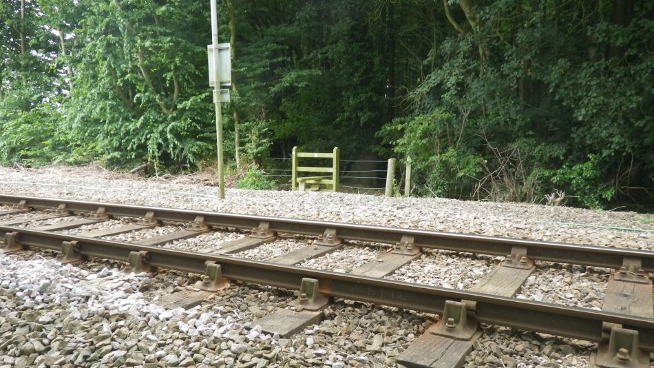 2018-07-18 08 Ringsfield and Redisham Park 5.5.jpg