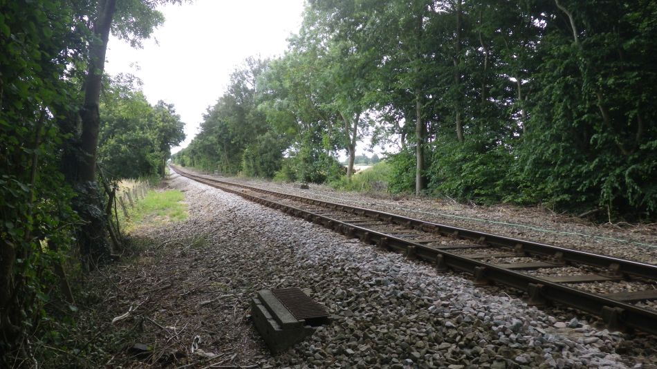 2018-07-18 09 Ringsfield and Redisham Park 5.5.jpg