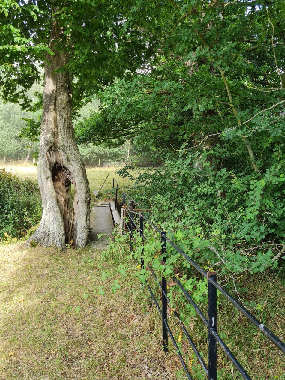 2022-07-13 02 Ringsfield and Redisham.jpg