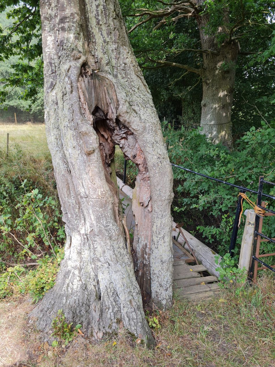 2022-07-13 04 Ringsfield and Redisham.jpg