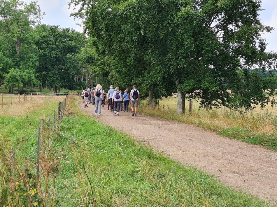 2022-07-13 06 Ringsfield and Redisham.jpg